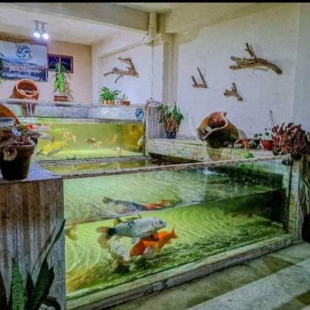 Recanto Villas Boas Ubatuba Exteriér fotografie