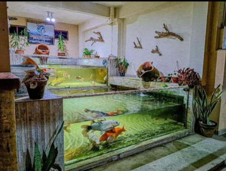 Recanto Villas Boas Ubatuba Exteriér fotografie